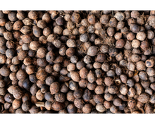 Load image into Gallery viewer, Nativilis Murumuru Butter | Nativilis Natural Essential Oils
