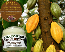 Load image into Gallery viewer, Nativilis Amazonian Cocoa Butter Raw Unscented Fragrance Free (Theobroma cacao) Skin Natural Moisturizer Replenishing skin&#39;s moisture protecting your skin improving elasticity – Copaiba properties
