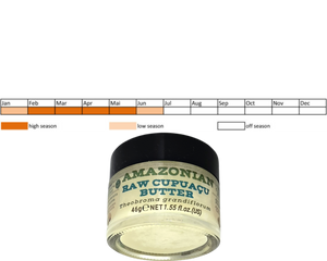 Nativilis Amazonian Raw Cupuacu Butter (Theobroma grandiflorum) - Helps seal in moisture to rehydrate skin and hair increase suppleness and decrease signs of aging like fine lines wrinkles – Copaiba