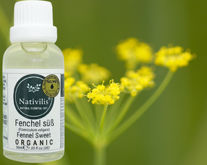 Nativilis Organic Fennel Sweet Essential Oil (Foeniculum vulgare) - 100% Natural - 30ml - (GC/MS Tested)