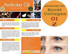 Load image into Gallery viewer, Nativilis TRIPLE Virgin Amazonian Rainforest Bio Oil - ANDIROBA - BACURI – PRACAXI - enriched 03 vegetable oils concentrated active efficacy treatment prevention cellulitis - Copaiba
