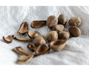 Nativilis Murumuru Butter | Nativilis Natural Essential Oils