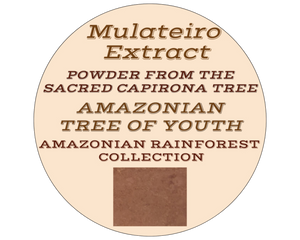 Nativilis MULATEIRO EXTRACT POWDER FROM THE SACRED CAPIRONA TREE- Calycophyllum spruceanum - AMAZONIAN TREE OF YOUTH - Skin and Hair Care - Anti-aging - Antifungal - Wound-healing properties - Copaiba