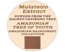 Load image into Gallery viewer, Nativilis MULATEIRO EXTRACT POWDER FROM THE SACRED CAPIRONA TREE- Calycophyllum spruceanum - AMAZONIAN TREE OF YOUTH - Skin and Hair Care - Anti-aging - Antifungal - Wound-healing properties - Copaiba
