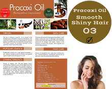Load image into Gallery viewer, Nativilis Amazonian Dragon’s Blood (trilipid complex enriched) Virgin Rainforest Bio Oil - UCUUBA - BACURI – PRACAXI – anti-stretch marks properties stimulating the production of collagen - Copaiba
