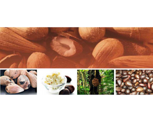 Load image into Gallery viewer, Nativilis Murumuru Butter Virgin Deodorized (Astrocaryum murumuru) Amazonian Rainforest Collection - Skin Hair Care Natural Moisturizer – Less frizzy hair - Won’t clog your pores – Copaiba properties
