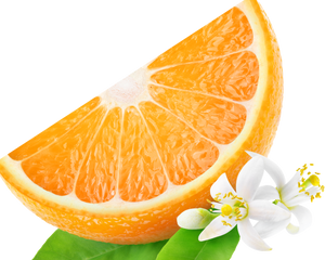 Nativilis Organic Neroli Essential Oil (Citrus aurantium) - 100% Natural - 30ml - (GC/MS Tested)