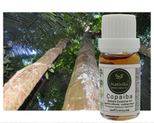 Load image into Gallery viewer, Nativilis Copaiba Balsam Essential Oil (10ml) - 100% Natural (Copaifera Officinalis ) (GC/MS Tested)
