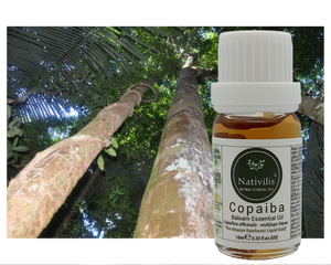 Nativilis Copaiba Balsam Essential Oil (10ml) - 100% Natural (Copaifera Officinalis ) (GC/MS Tested)