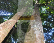 Load image into Gallery viewer, Nativilis Copaiba Balsam Essential Oil (10ml) - 100% Natural (Copaifera Officinalis ) (GC/MS Tested)
