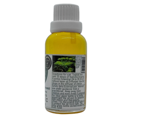 Nativilis Organic Cypress Essential Oil (Cupressus sempervirens) - 100% Natural - 30ml - (GC/MS Tested)