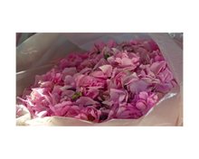 Load image into Gallery viewer, Nativilis Organic Rose Otto Essential Oil Blend 5% (Rosa damascena/Argania spinosa) - 100% Natural - 30ml - (GC/MS Tested)
