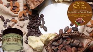Nativilis Amazonian Cocoa Butter Raw (Theobroma cacao) Skin Natural Moisturizer Replenishing skin's moisture protecting your skin improving elasticity – Copaiba properties