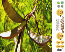 Load image into Gallery viewer, Nativilis AMAZONIAN LIP BALM DOUBLE ACTION FORMULA WITH PRACAXI SEED OIL (Pentaclethra macroloba) + BACURI BUTTER (Platonia insignis) Moisturises Dry Lips and Heals Chapped Lips - Toned Lips - Copaiba
