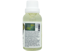 Load image into Gallery viewer, Nativilis Organic Fennel Sweet Essential Oil (Foeniculum vulgare) - 100% Natural - 30ml - (GC/MS Tested)

