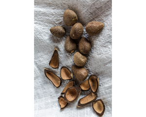 Nativilis Murumuru Butter | Nativilis Natural Essential Oils