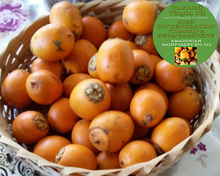 Load image into Gallery viewer, Nativilis TUCUMA VIRGIN OIL (Astrocaryum vulgare) Amazonian Rainforest Collection HIGH CONCENTRATION VITAMIN-A BETA-CAROTENE - SKIN and Hair Care - nourishing, moisturizing, antioxidant and anti-inflammatory properties - Copaiba
