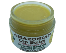 Load image into Gallery viewer, Nativilis AMAZONIAN LIP BALM DOUBLE ACTION FORMULA WITH PRACAXI SEED OIL (Pentaclethra macroloba) + BACURI BUTTER (Platonia insignis) Moisturises Dry Lips and Heals Chapped Lips - Toned Lips - Copaiba
