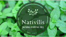 Load image into Gallery viewer, Nativilis Organic Peppermint Essential Oil (Mentha piperita) - 100% Natural - 10ml - (GC/MS Tested)

