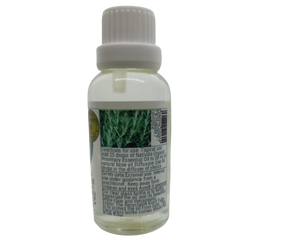 Nativilis Organic Rosemary Essential Oil (Rosmarinus officinalis) - 100% Natural - 30ml (GC/MS Tested)