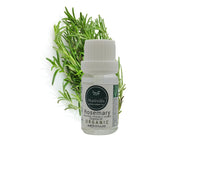 Load image into Gallery viewer, Organic Rosemary Essential Oil | Nativilis Natural Essential Oils
