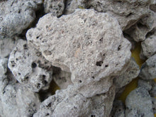 Load image into Gallery viewer, Nativilis Brazilian Frankincense | Nativilis Natural Essential Oils
