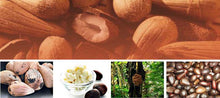 Load image into Gallery viewer, Nativilis Murumuru Butter Virgin Deodorized (Astrocaryum murumuru) Amazonian Rainforest Collection - Skin Hair Care Natural Moisturizer – Less frizzy hair - Won’t clog your pores – Copaiba properties
