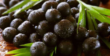 Load image into Gallery viewer, Nativilis Virgin Pataua Oil (Oenocarpus bataua) 
